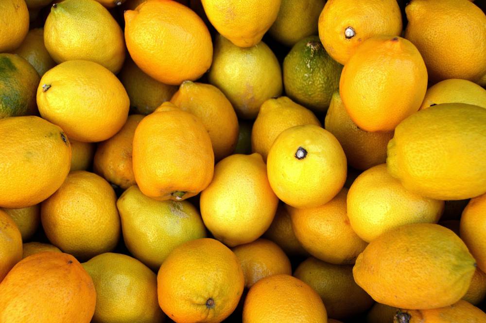 Per Scegliere i Migliori Agrumi da Mangiare: Guida Completa alla Qualità, alla Stagionalità e al Gusto