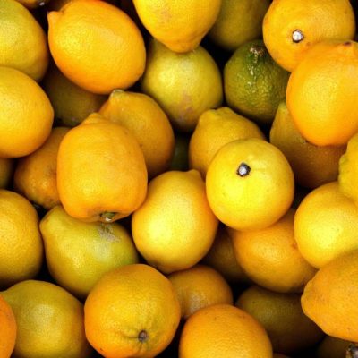 Guida pratica alle malattie degli agrumi: proteggere le tue arance e mandarini